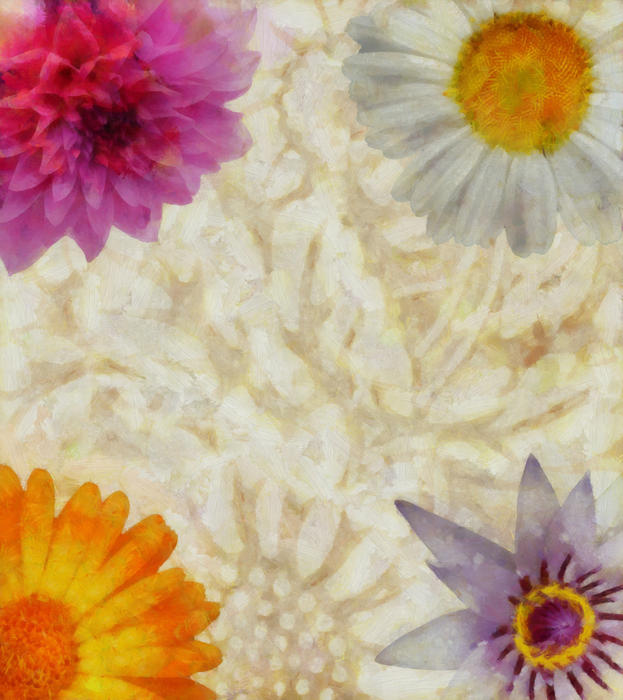 <p>Digital flower background collage clip art illustration.</p>
