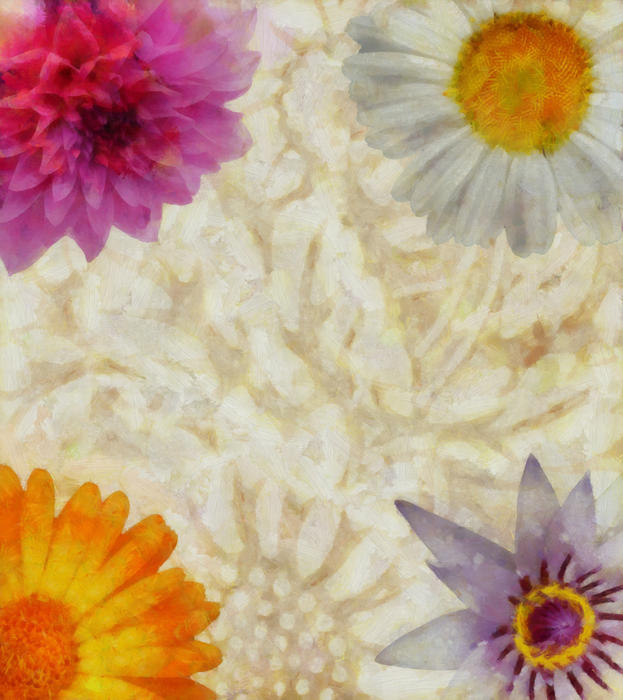 <p>Digital flower background collage clip art illustration.</p>