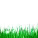 9441   digital grass