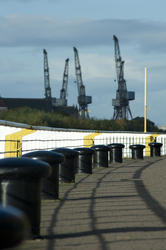 10789   Large industrial cranes in a dockyard