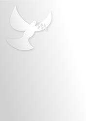10847   dove and olive branch white