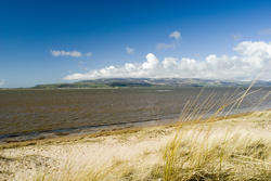 7774   Duddon estuary