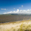 7774   Duddon estuary