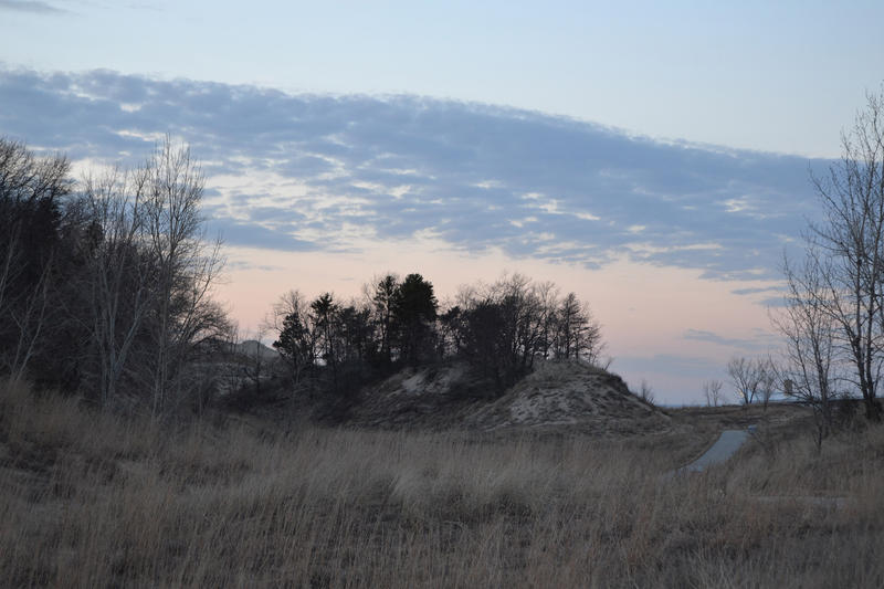 <p>Indiana Dunes Lakeshore</p>