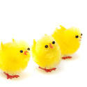 7897   Three fluffy Easter Chicks