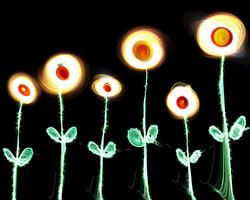 9091   electric flowers on black