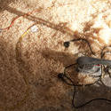 10168   Electric sander in a bed of fresh wood shavings