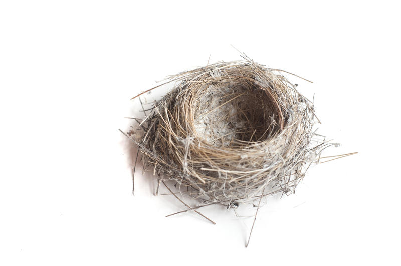 Small round empty birds nest of dried twigs on a white studio background