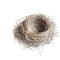 7903   Empty birds nest