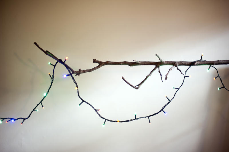 Minimalist Christmas with a dried leafless festive Christmas branch decorated with a looped string of colorful shining lights