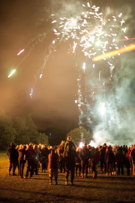 Crowds standing in a field watching a fireworks display with showers of sparks exploding high in the air in a colourful burst on Bonfire Night