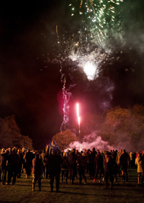 Crowd watching a colorful pink fireworks display on Bonfire Night or Guy Fawkes standing outside in a field as rockets explode high in the night sky