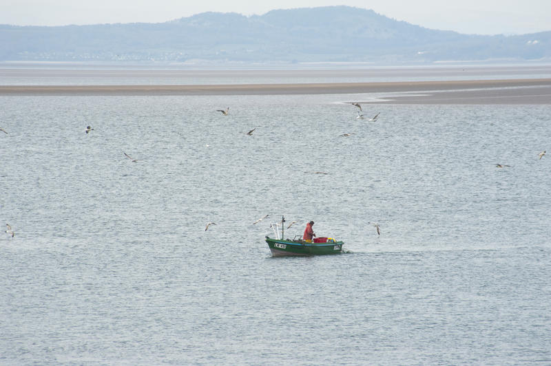 Lone fisherman fishing offshore from his small fishing boat accompanied by wheeling seagulls