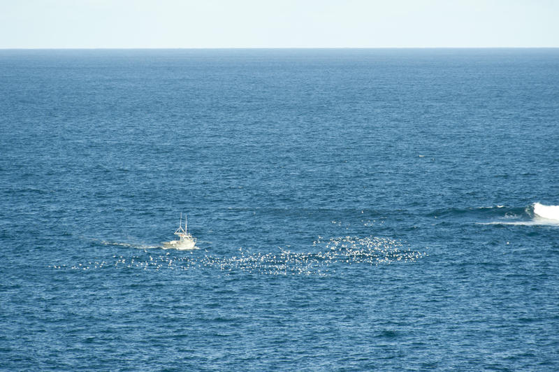 Fishing in a open ocean with Blue Water. Capturing the Horizontal Line Between the Sea and Sky