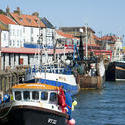 8011   Fishing fleet in Whitby harbour