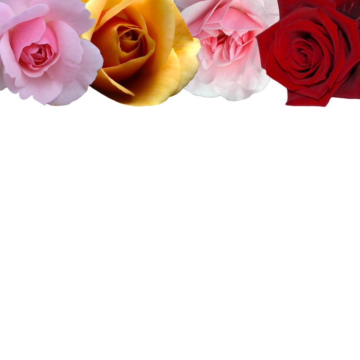 <p>Floral page border.</p>