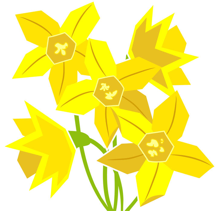 <p>Yellow daffodils clip art illustration.</p>