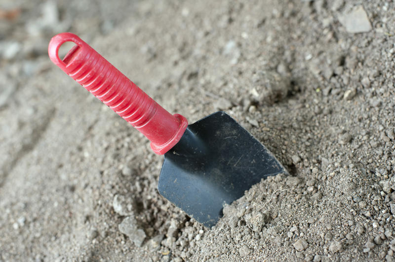 Garden trowel with a plastic covered handle for digging standing upright in the soil ready for planting in spring