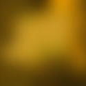 9379   gold background blur