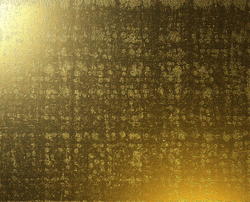 9597   gold002