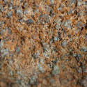 10923   Close Up Detail of Granite Rock