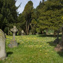 7788   Pennington cemetry