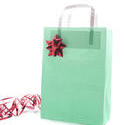 8660   Green Christmas gift bag