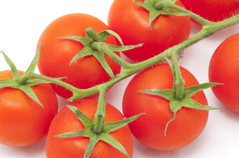 Close up Newly Harvested Seven Healthy Red Tomatoes on a Green Stem Isolated on White Background.