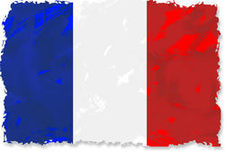 9064   grunge french flag