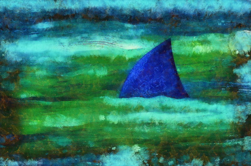 <p>Grunge Shark Fin</p>