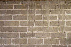 10924   Close Up of Grungy Weathered Brick Wall