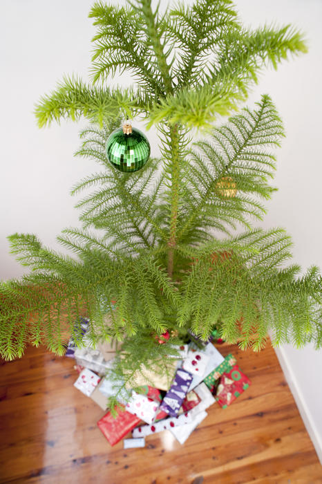 a wide angle view taken from above looking down on a christmas tree with presents below, focus on a single green bauble hanging on the tree braches
