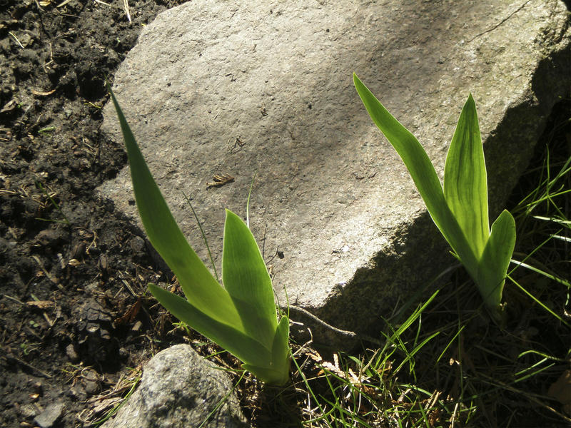 <p>stone,runaways of,big stone,big stone in light, </p>