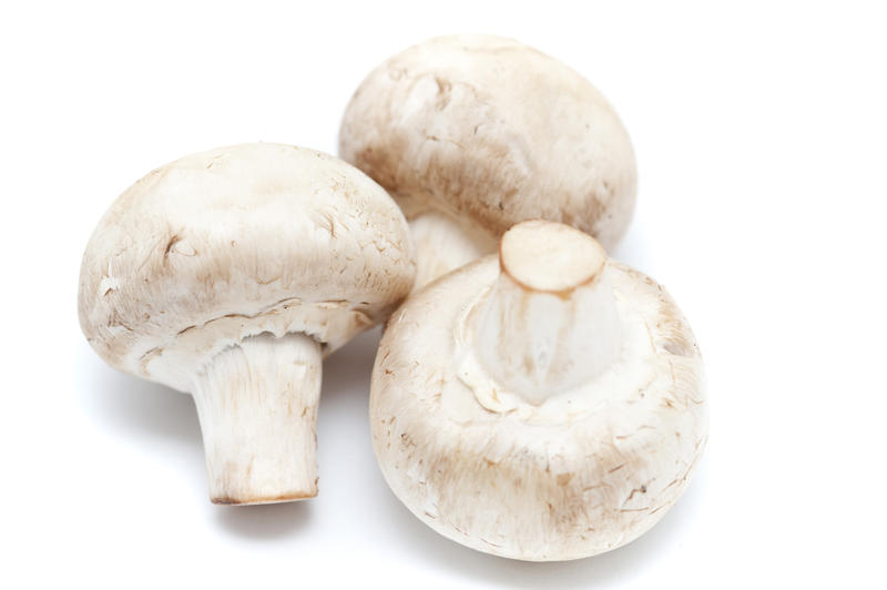 Close up Three Healthy Fresh Uncooked Mushrooms Isolated on White Background