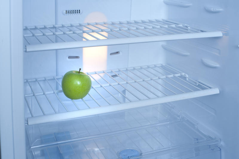 One green apple standing on a wire shelf inside a small empty domestic fridge