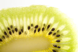 10512   Macro detail of a slice peeled kiwifruit