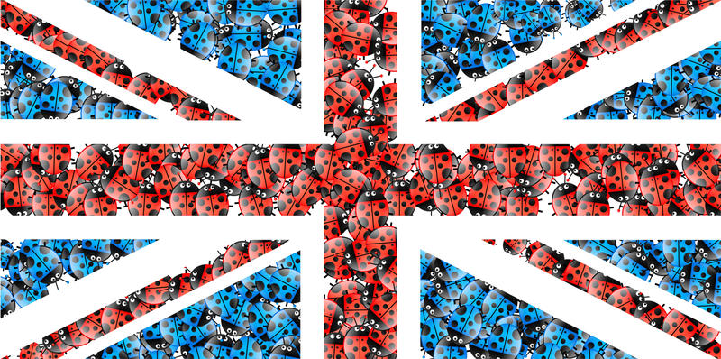 <p>Ladybug UK Union Jack flag illustration.</p>

