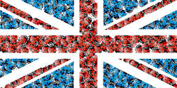 9065   ladybug union jack