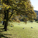 9979   Scenic landscape in the English Lake District