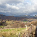 8764   Country road through the Langdales