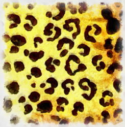 8996   leopard print