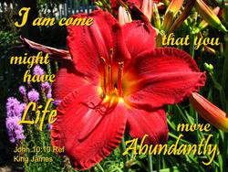 11763   Life Abundant