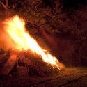 8889   Lit bonfire taking hold on the wood and branches