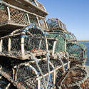 7837   Crab or lobster pots