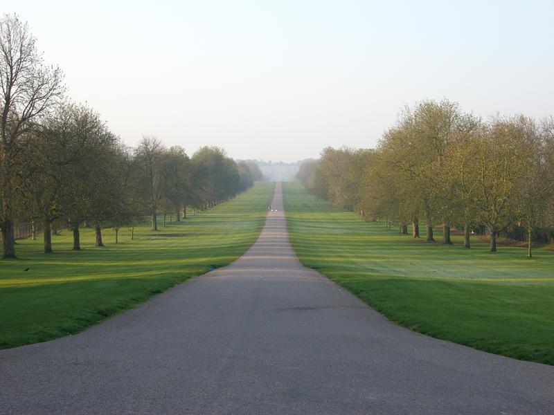 <p>The Long Walk - Windsor Great Park</p>