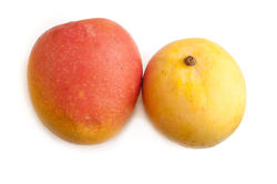 10513   Two whole fresh tropical mangoes
