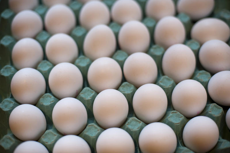 High angle close-up of white chicken eggs, in a carton cardboard