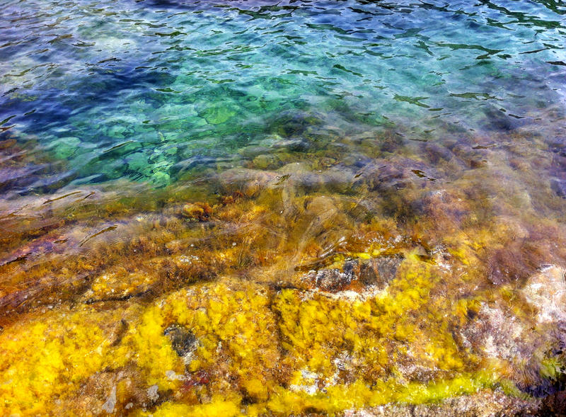 <p>Water on the shore, Mediterranean Sea, Villanova, Corsica, France</p>