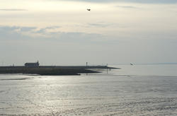 7802   stone pier at low tide