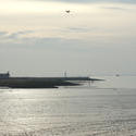 7802   stone pier at low tide